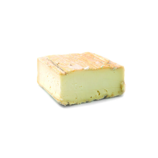 taleggio_cheese_prelybium